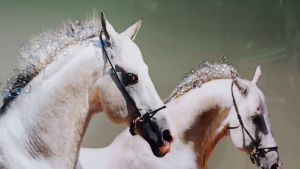 картина с рамка Бягащи Коне Art Crystal 70 х 50 см